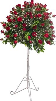 deer verdiiniz kiilere yollana bir iek