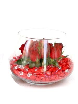 Camda K�rm�z� G�ller